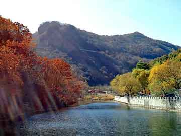 正新澳门二四六天天彩，申彗星女友